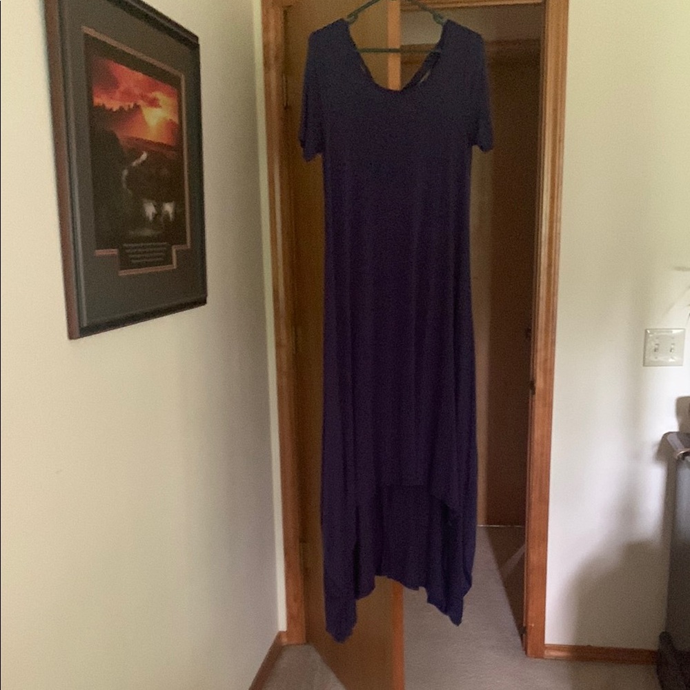 Elegant navy Women's Dress